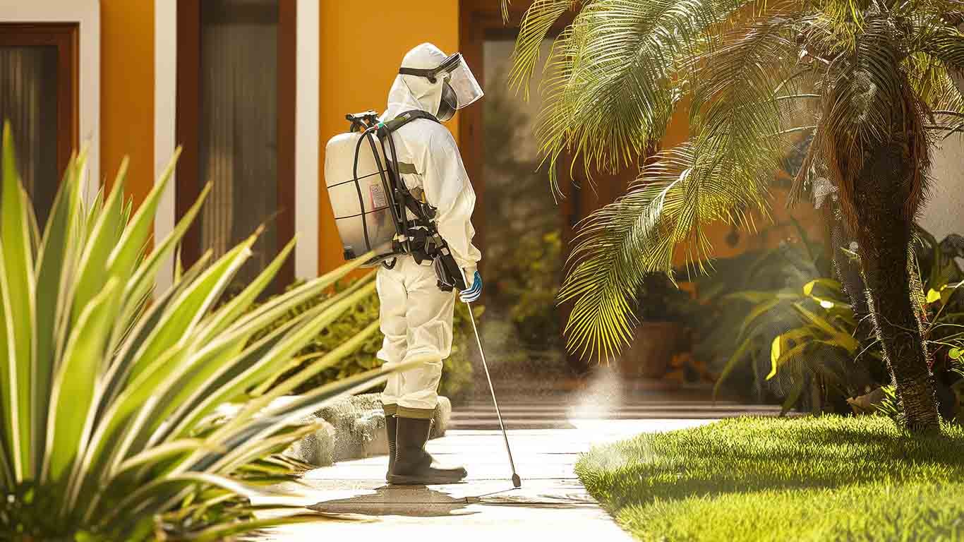 How to Keep Your Home Pest-Free This Winter